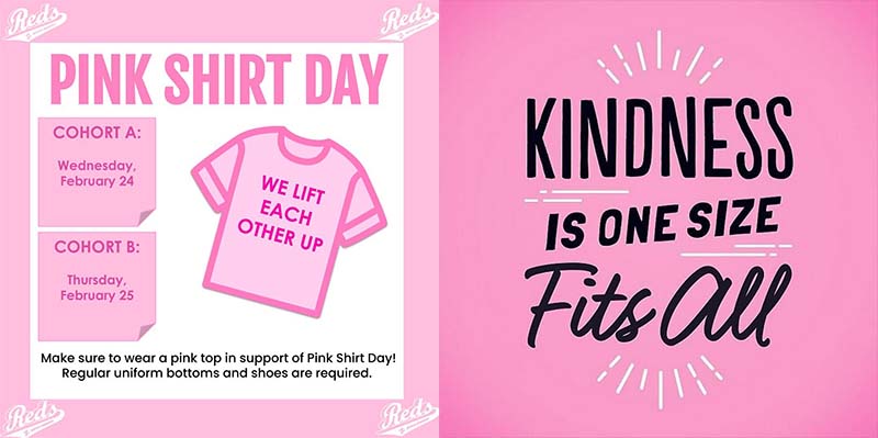 dmchs pink shirt day